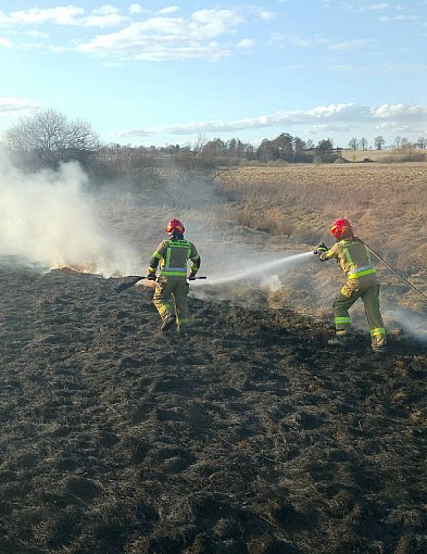 Biolog: w Polsce wypalanie traw jest przyrodniczo destrukcyjne i oparte na mitach