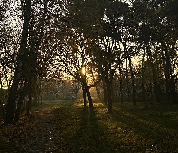 Nadchodzi najkrótszy dzień w 2025 roku. Sprawdź, kiedy przypadnie-17721