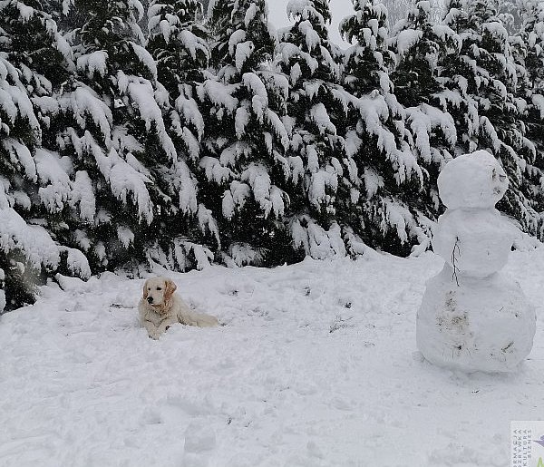 Druga tura ferii zimowych z nieustępującymi ujemnymi temperaturami i mroźną aurą