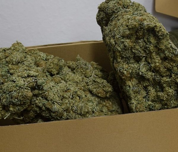 Złocieniec. Ponad kilogram narkotyków u mieszkańca powiatu