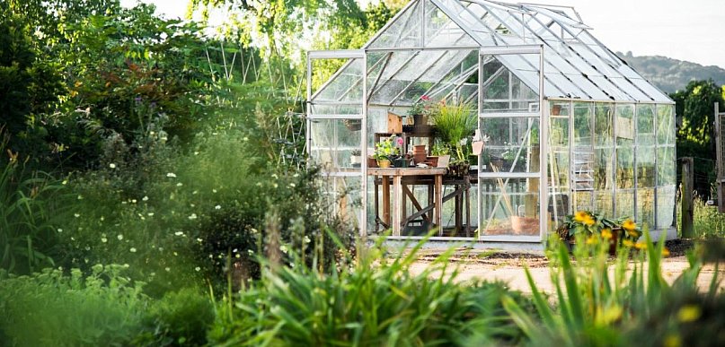 Dlaczego ogród nie musi być drogi, żeby wyglądał dobrze?