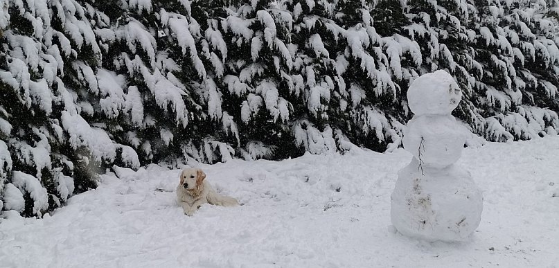 Druga tura ferii zimowych z nieustępującymi ujemnymi temperaturami i mroźną aurą