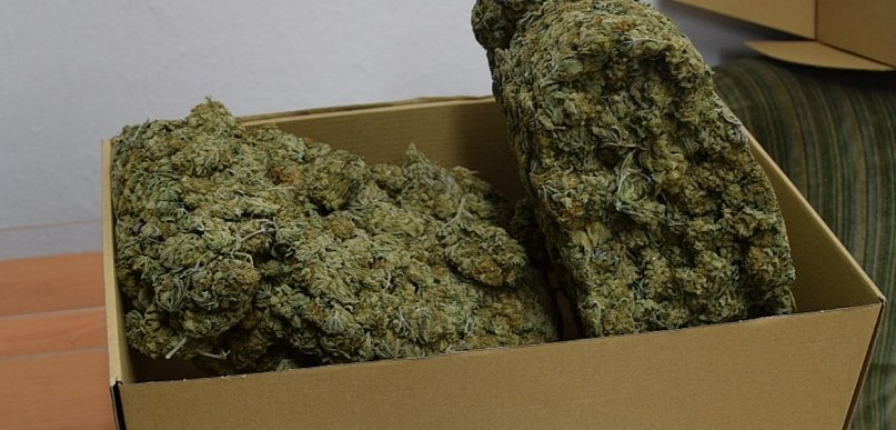 Złocieniec. Ponad kilogram narkotyków u mieszkańca powiatu