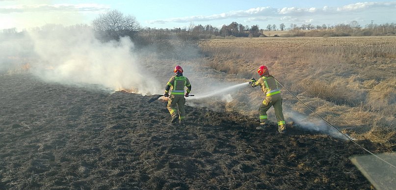 Biolog: w Polsce wypalanie traw jest przyrodniczo destrukcyjne i oparte na mitach