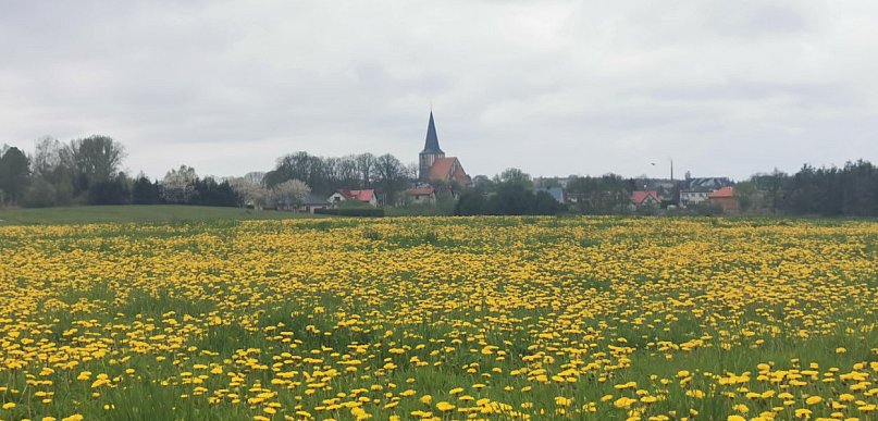IMGW: w majówkę pogoda zmienna i raczej chłodna