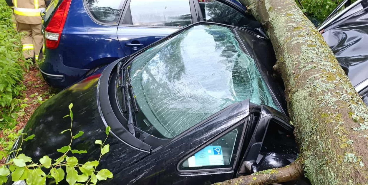 Zdjęcia: Adrian Rozpłoch 