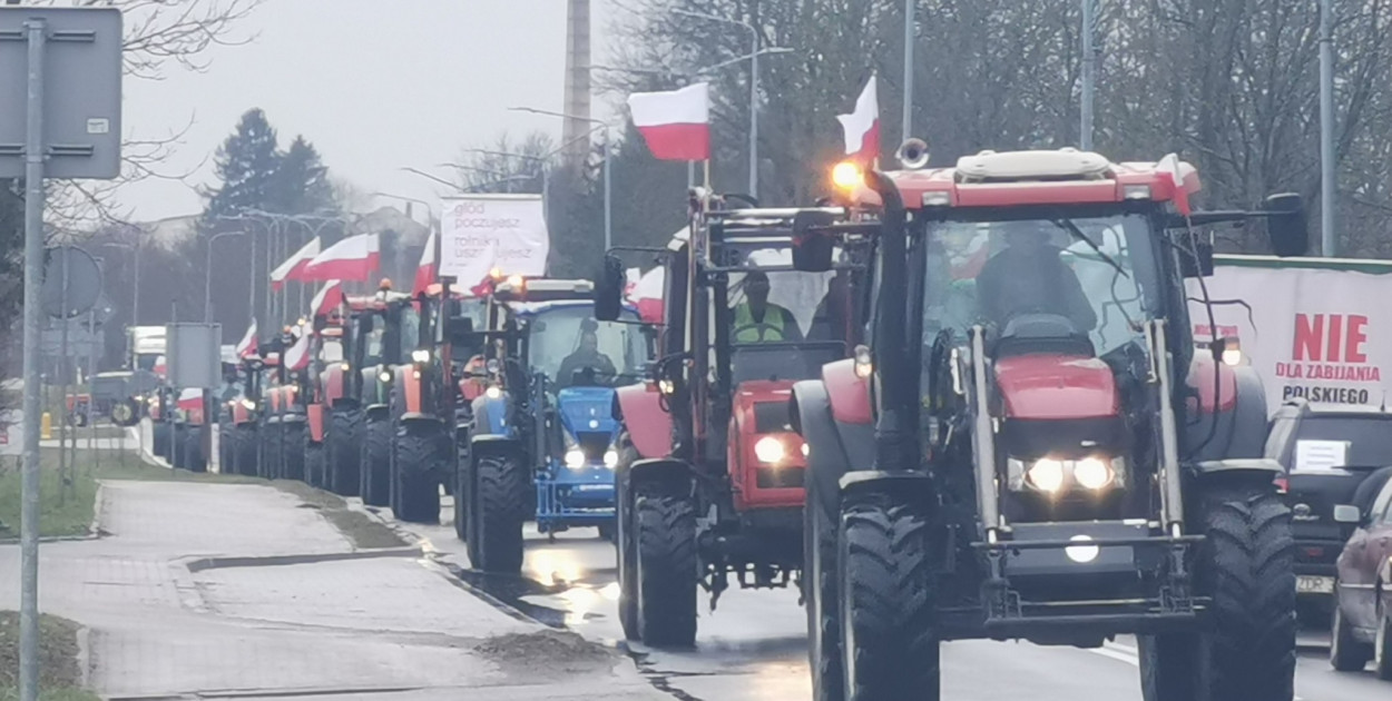 Zdjęcia: Tomasz Jasyk [Magazyn Drawski]