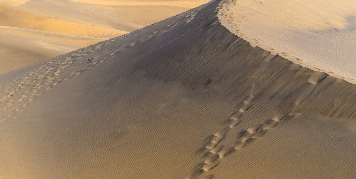 Image by Bernhard Jaeck from Pixabay.com