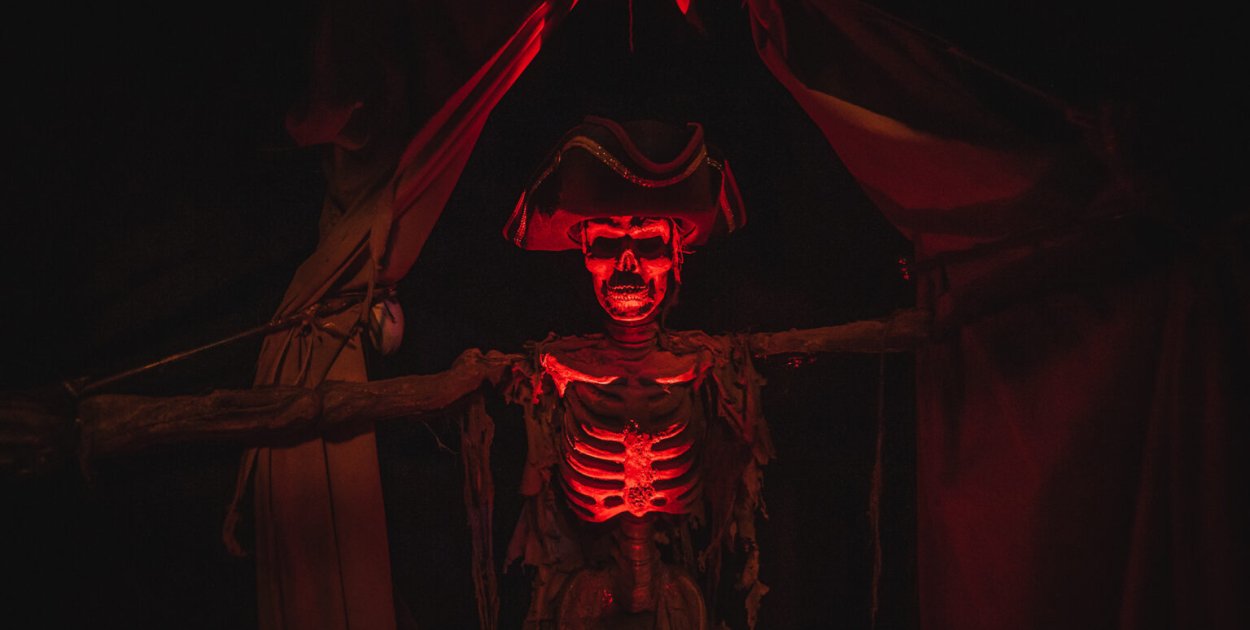 Zimowe atrakcje w Gdańsku pełne emocji i zaskoczeń