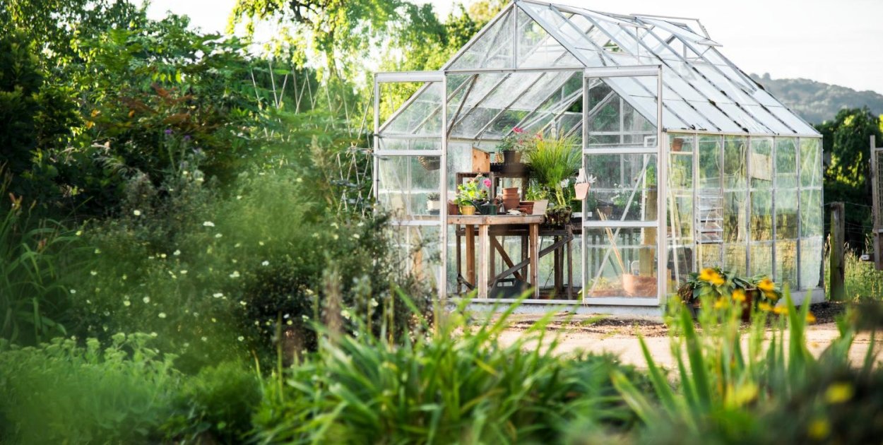 Dlaczego ogród nie musi być drogi, żeby wyglądał dobrze?