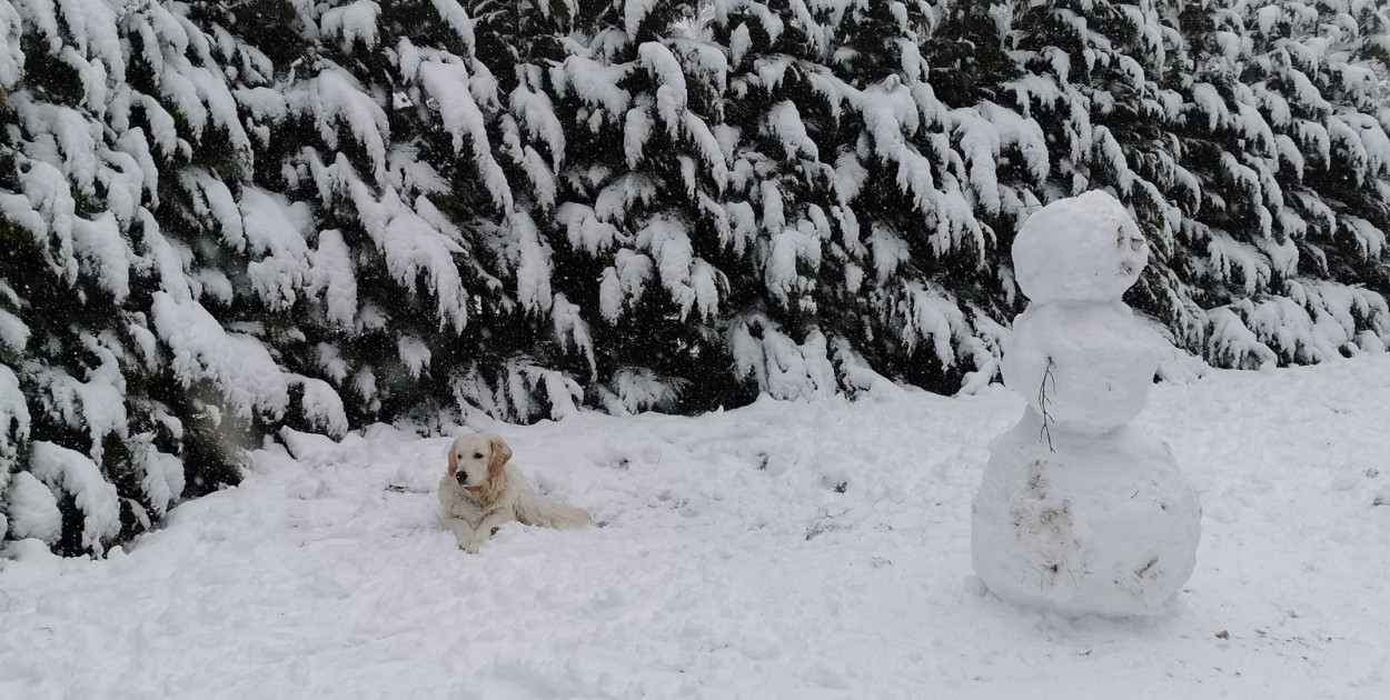 Druga tura ferii zimowych z nieustępującymi ujemnymi temperaturami i mroźną aurą