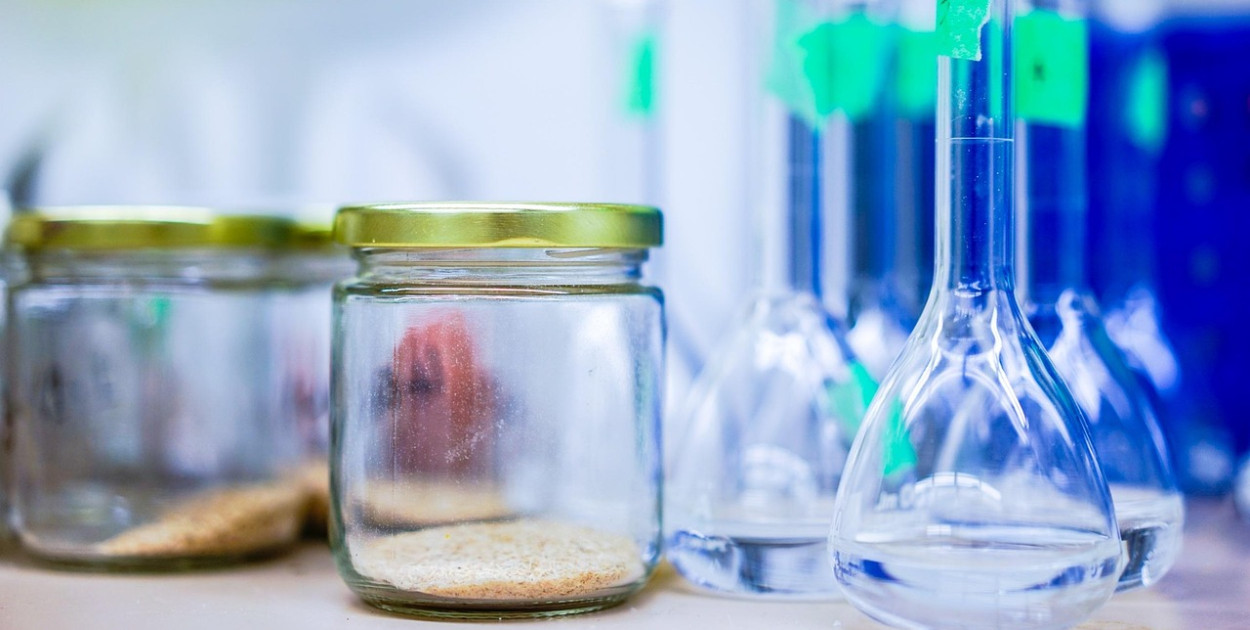 Rozszyfrowano, jak rośliny wytwarzają rzadki związek przeciwnowotworowy