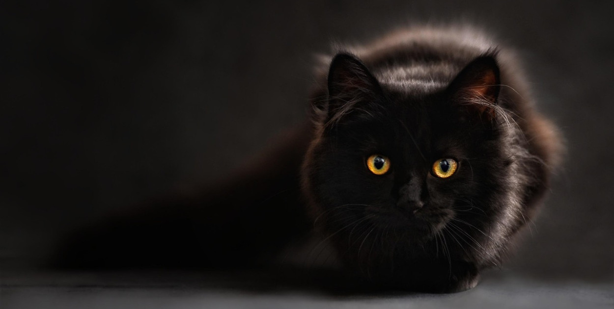 Nawet niewierzący w przesądy  w piątek trzynastego zachowują się inaczej