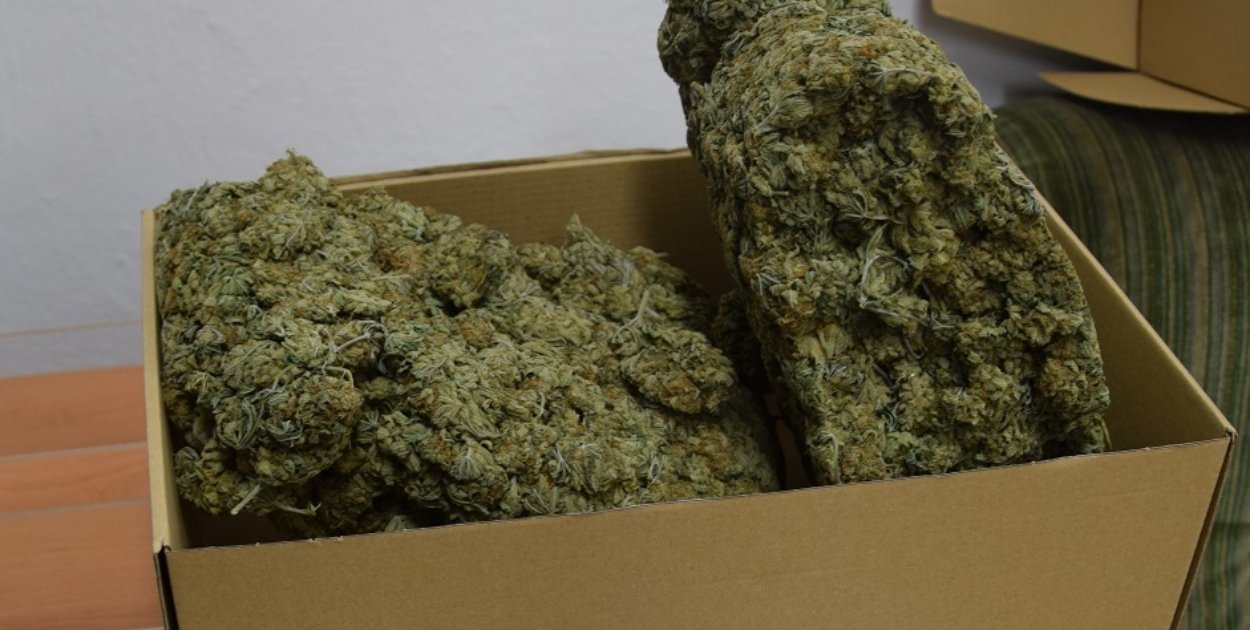 Złocieniec. Ponad kilogram narkotyków u mieszkańca powiatu