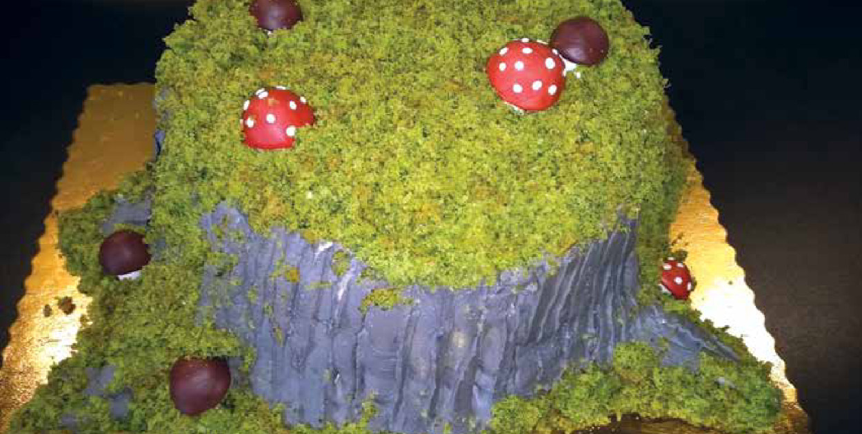 Tort „Drawskie lasy”