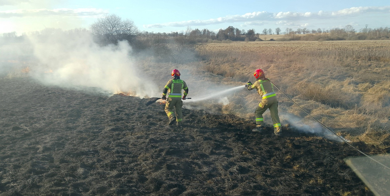 Biolog: w Polsce wypalanie traw jest przyrodniczo destrukcyjne i oparte na mitach